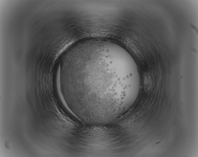 X0000097860684200804041529