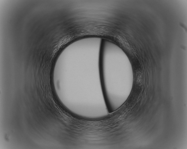 X0000097860685200804041529