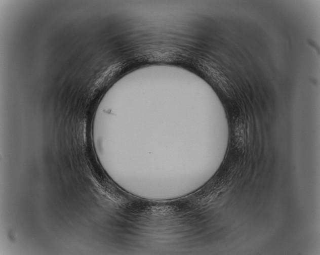 X0000097860686200804041529