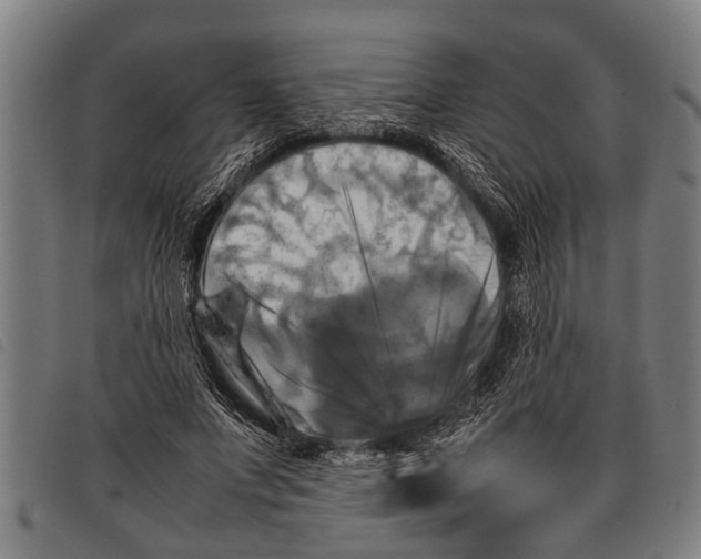 X0000097860687200804041529