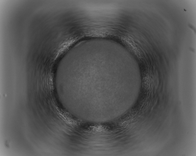 X0000097860688200804041529