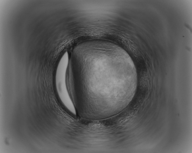 X0000097860689200804041529