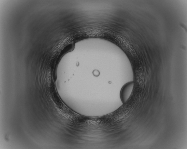 X0000097860690200804041529