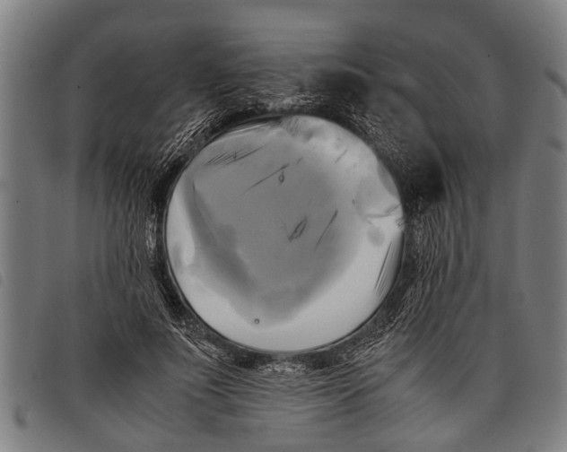 X0000097860691200804041529