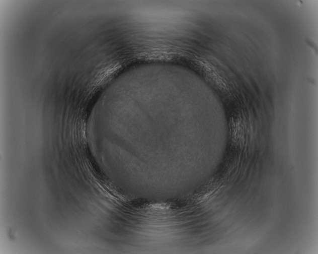 X0000097860692200804041529