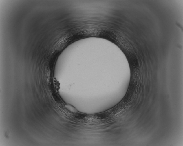 X0000097860693200804041529