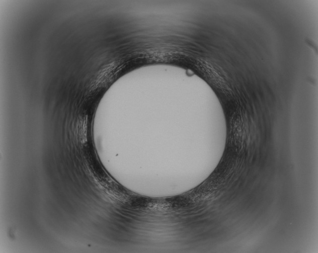 X0000097860694200804041529