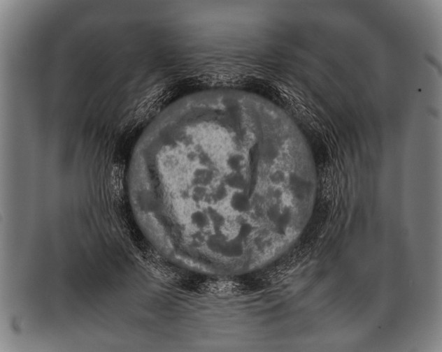 X0000097860695200804041529