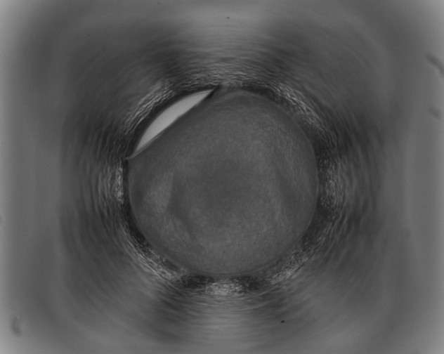 X0000097860696200804041529