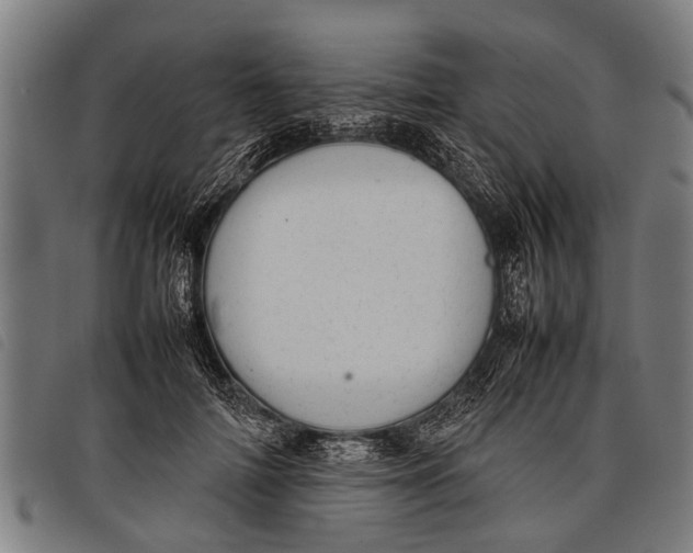 X0000097860698200804041529