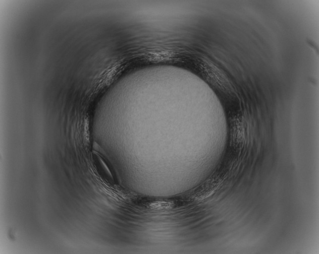 X0000097860700200804041529