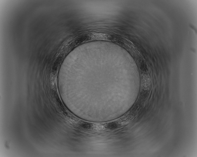 X0000097860701200804041529