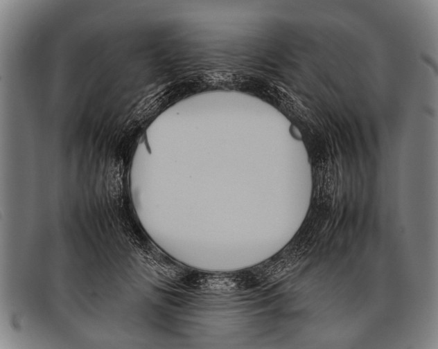 X0000097860702200804041529