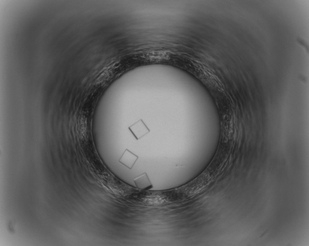 X0000097860704200804041529