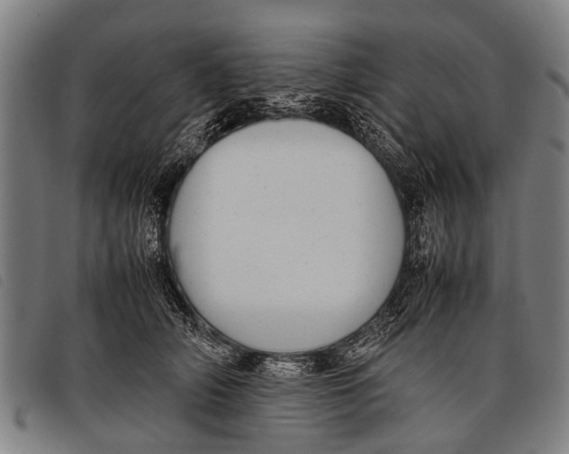 X0000097860706200804041529