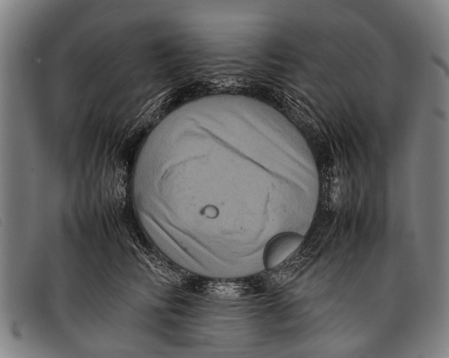 X0000097860710200804041528