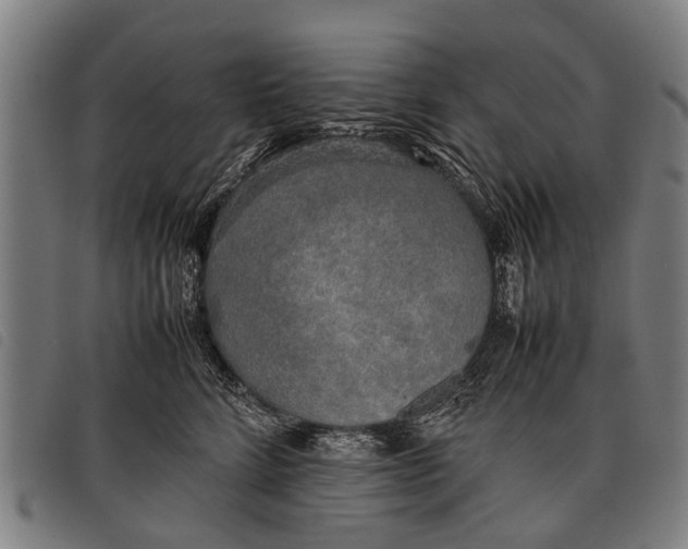 X0000097860712200804041528