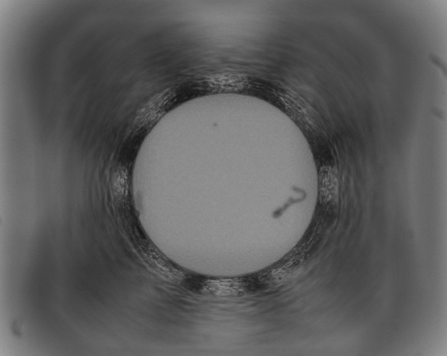 X0000097860713200804041528