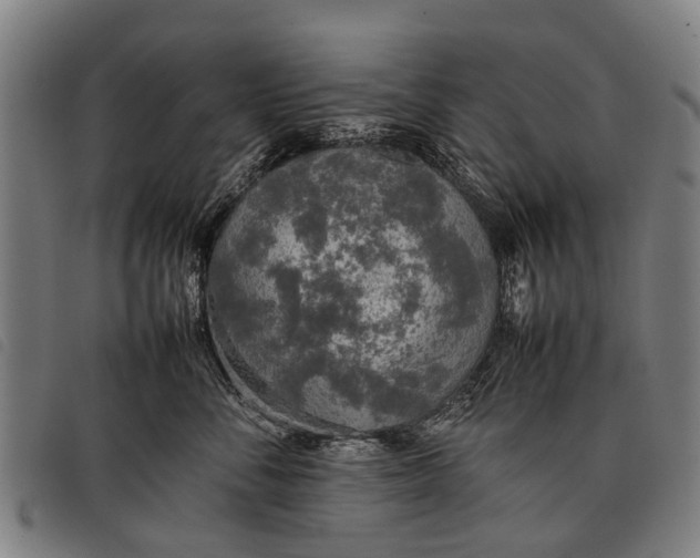 X0000097860716200804041528