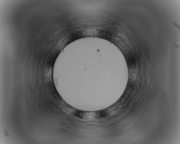 X0000097860717200804041528