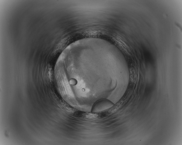 X0000097860718200804041528