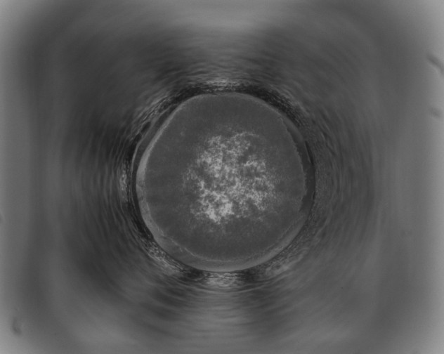 X0000097860720200804041528