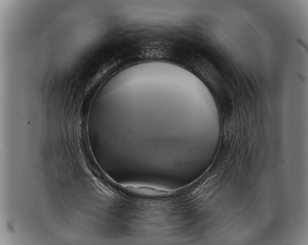 X0000097860722200804041528