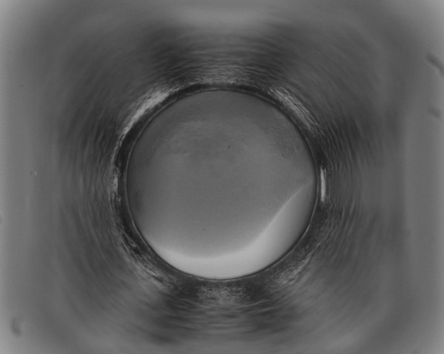 X0000097860723200804041528