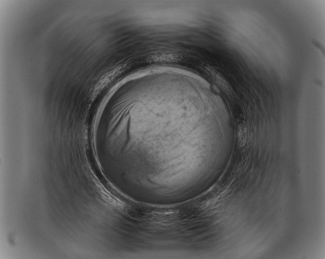 X0000097860725200804041528