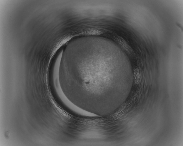 X0000097860726200804041528