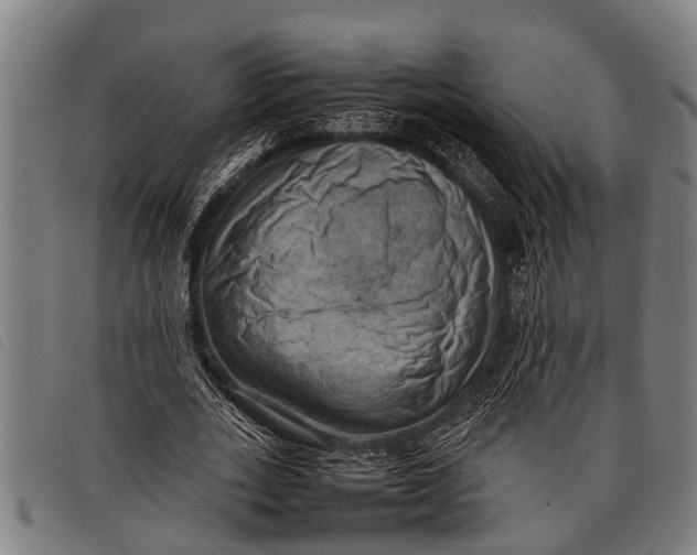 X0000097860727200804041528