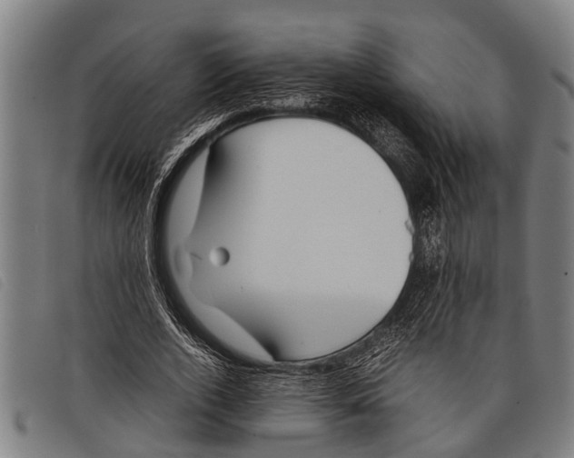 X0000097860728200804041528