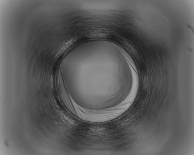 X0000097860729200804041528