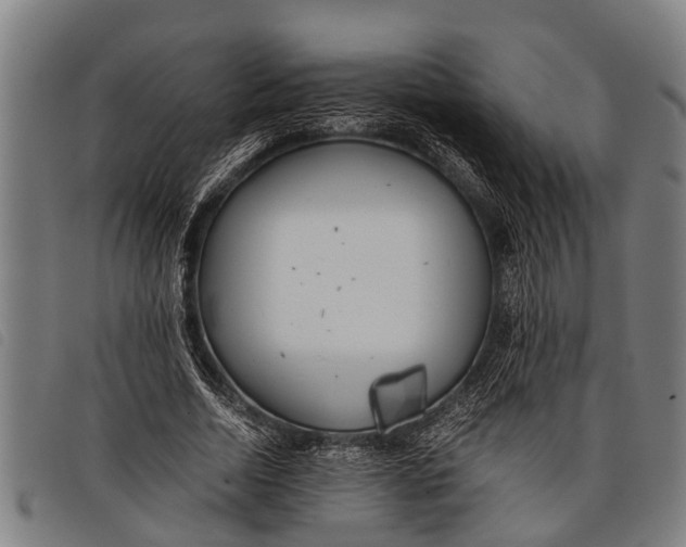 X0000097860730200804041528