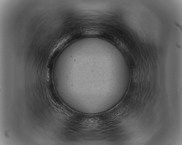 X0000097860731200804041528