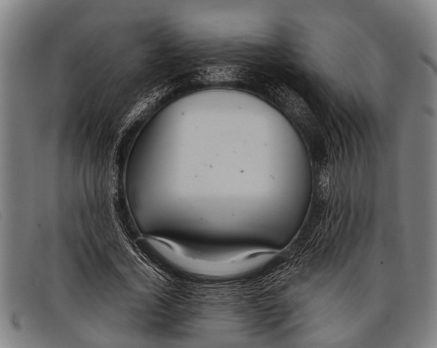 X0000097860732200804041528