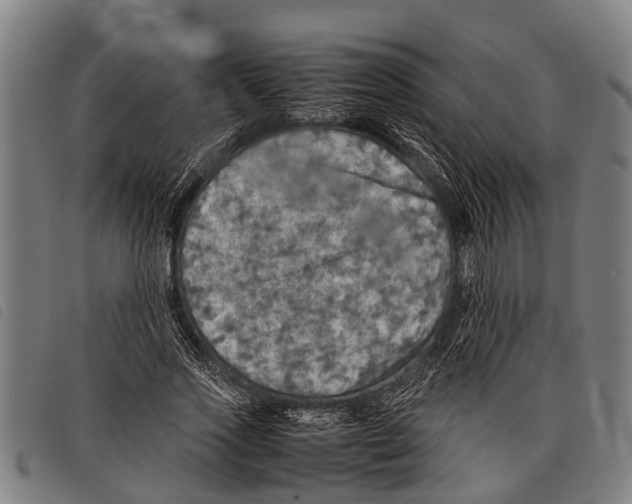 X0000097860733200804041528