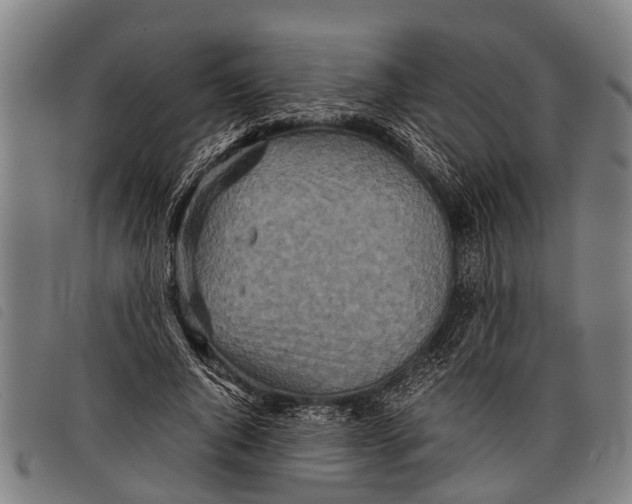 X0000097860736200804041528