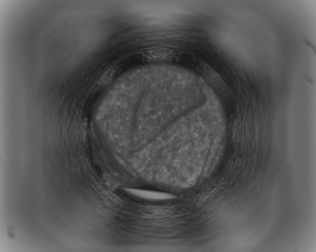 X0000097860737200804041528