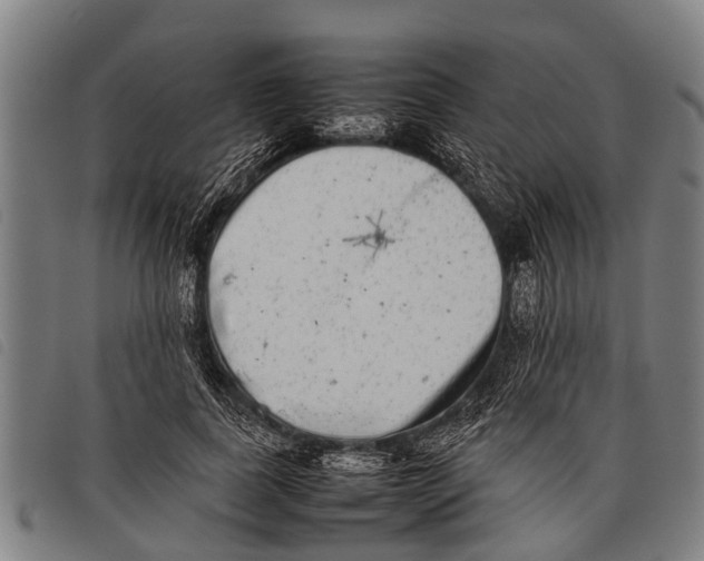 X0000097860739200804041528