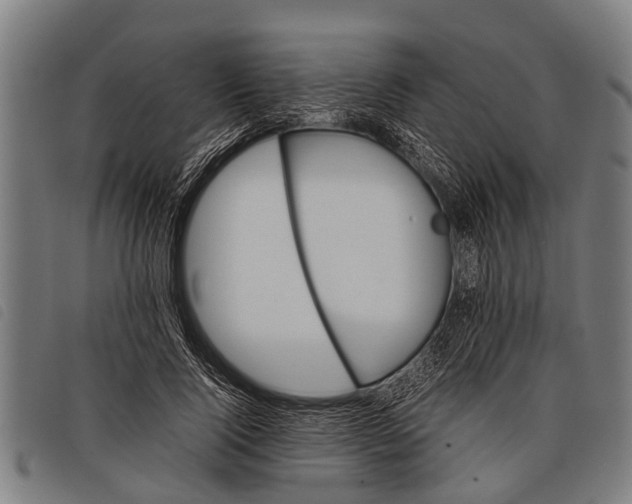 X0000097860740200804041528