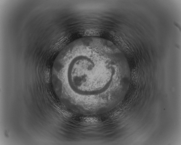 X0000097860741200804041528