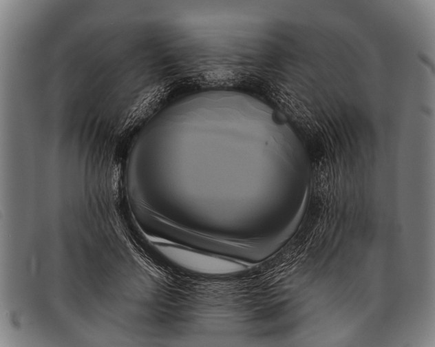 X0000097860742200804041528