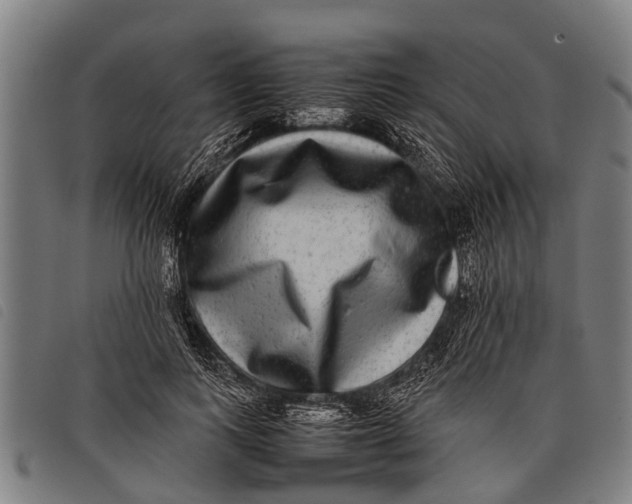 X0000097860743200804041528