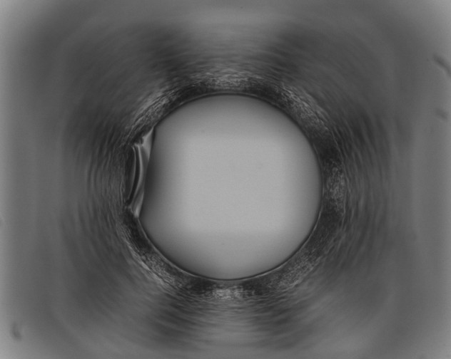 X0000097860744200804041528