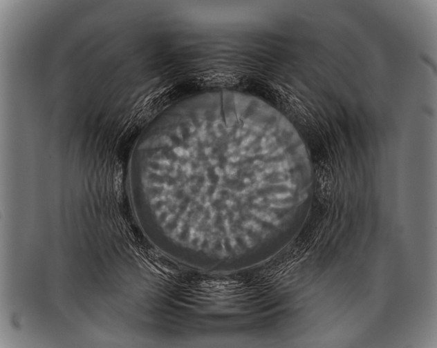 X0000097860745200804041528