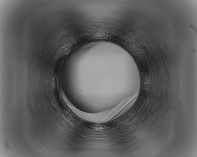 X0000097860746200804041528