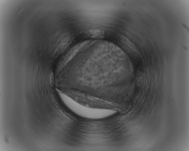 X0000097860748200804041528