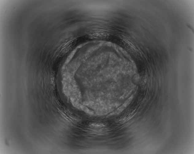 X0000097860749200804041528