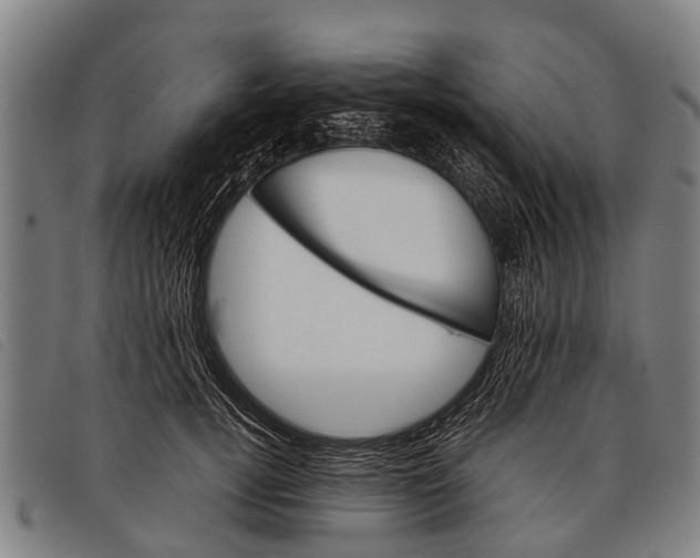 X0000097860752200804041528